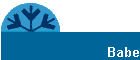 Babe