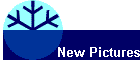 New Pictures