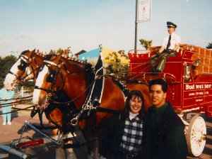 ai1.jpg (21794 bytes)