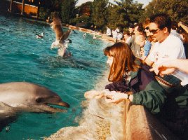 ai2.jpg (20010 bytes)