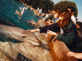 ao2.jpg (20313 bytes)