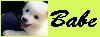 babe.jpg (2418 bytes)