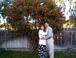 bb8.jpg (28435 bytes)